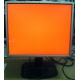 Монитор 19" TFT HP 1955 (DVI в Евпатории, USB-хаб) "квадратный" (Евпатория)