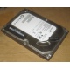Жесткий диск HP 500G 7.2k 3G HP 616281-001 / 613208-001 SATA (Евпатория)