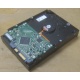 Жесткий диск HP 250Gb 7200 rpm 432337-001/ 399699-001 / 397377-004 (Евпатория)
