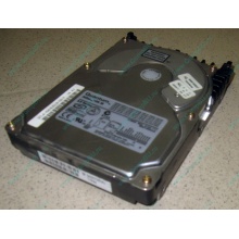 Жесткий диск 18.4Gb Quantum Atlas 10K III U160 SCSI (Евпатория)