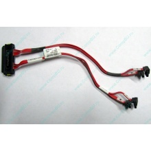 SATA-кабель для корзины HDD HP 451782-001 459190-001 для HP ML310 G5 (Евпатория)