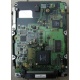 Жесткий диск 18.4Gb Quantum Atlas 10K III U160 SCSI (Евпатория)