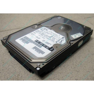 Жесткий диск 18.2Gb IBM Ultrastar DDYS-T18350 Ultra3 SCSI (Евпатория)