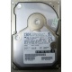 Жесткий диск 18.2Gb IBM Ultrastar DDYS-T18350 Ultra3 SCSI (Евпатория)