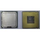 Процессор Intel Celeron D 336 (2.8GHz /256kb /533MHz) SL98W s.775 (Евпатория)