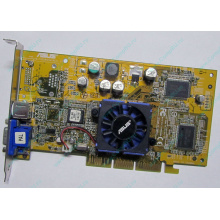 Видеокарта Asus V8170 64Mb nVidia GeForce4 MX440 AGP Asus V8170DDR (Евпатория)