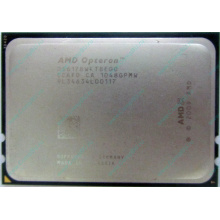 AMD Opteron 6128 OS6128WKT8EGO (Евпатория)